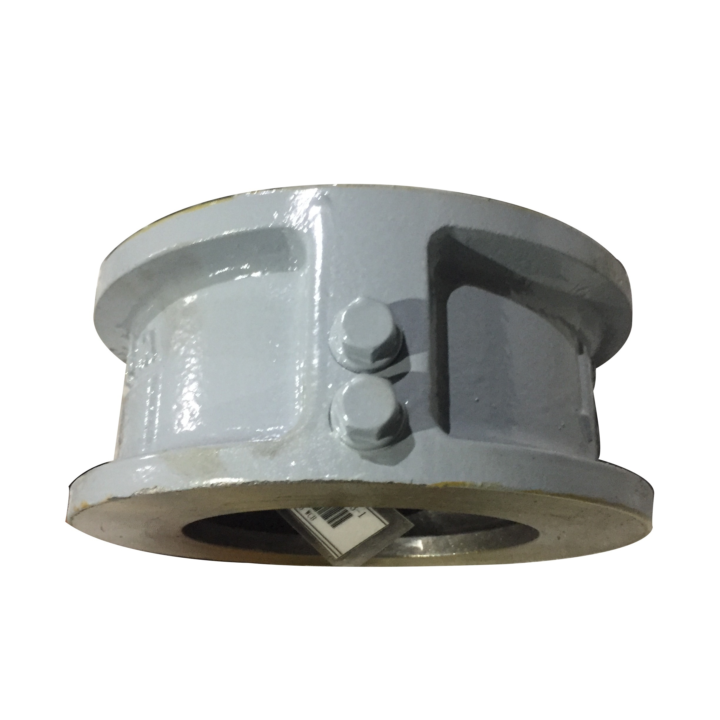 Standard dual disc wafer type check valve 6 inch