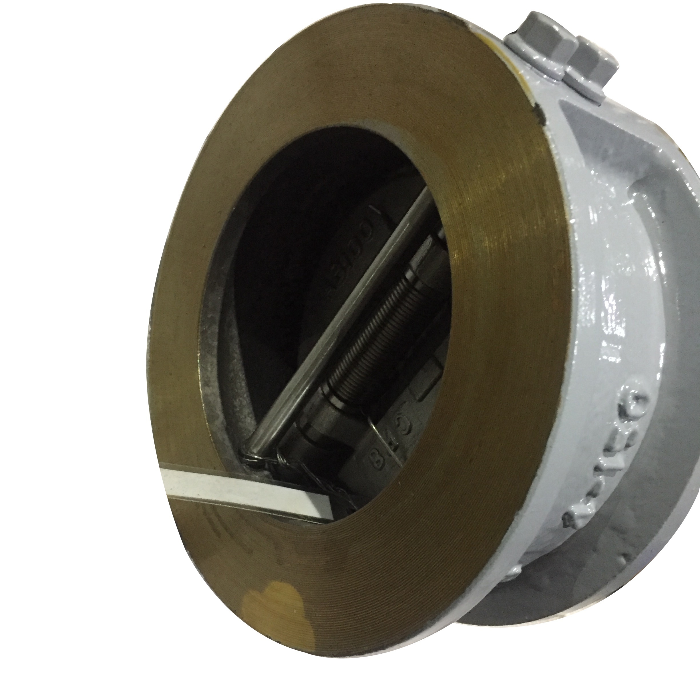 Standard dual disc wafer type check valve 6 inch