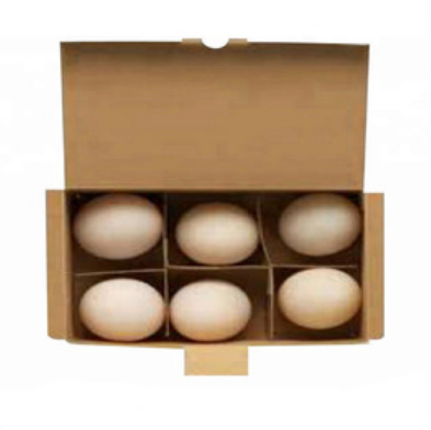 Custom recycle corrugated paper 12 egg box/cartons packing