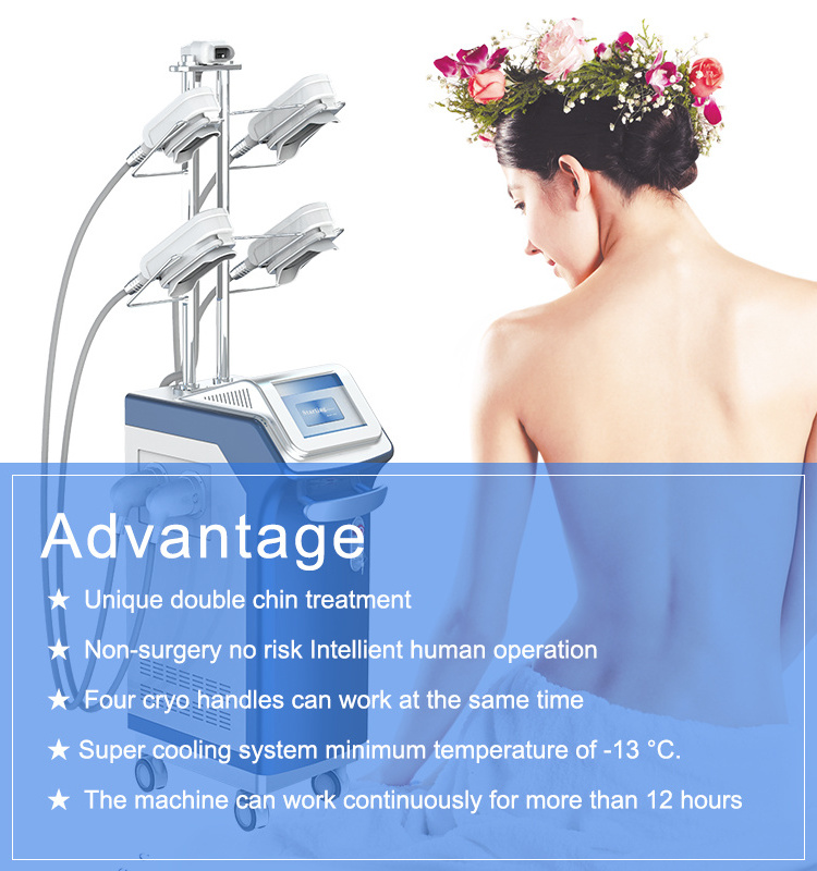 Slimming Ice Cryolipolysis Machine Fat Freezed Machine Cryolipolysis Cellulite Removal Machine Slim Professional