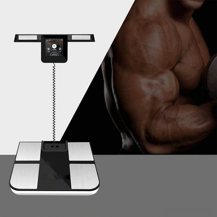 2024 50% Off Quantum Body Analyzer Analyzer Measures Weight Smart Body Fatscale Inbody 770 Body Composition Analyzer