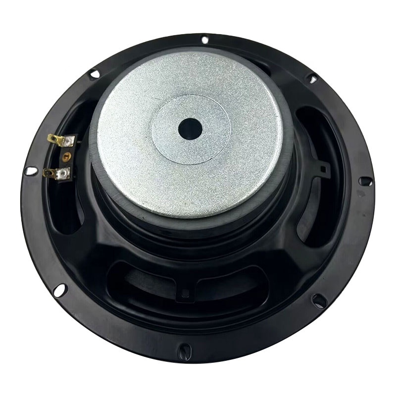 8 inch shallow mount subwoofer 8 inch RMS 100W with 8inch slim stamped iron steel basket frame