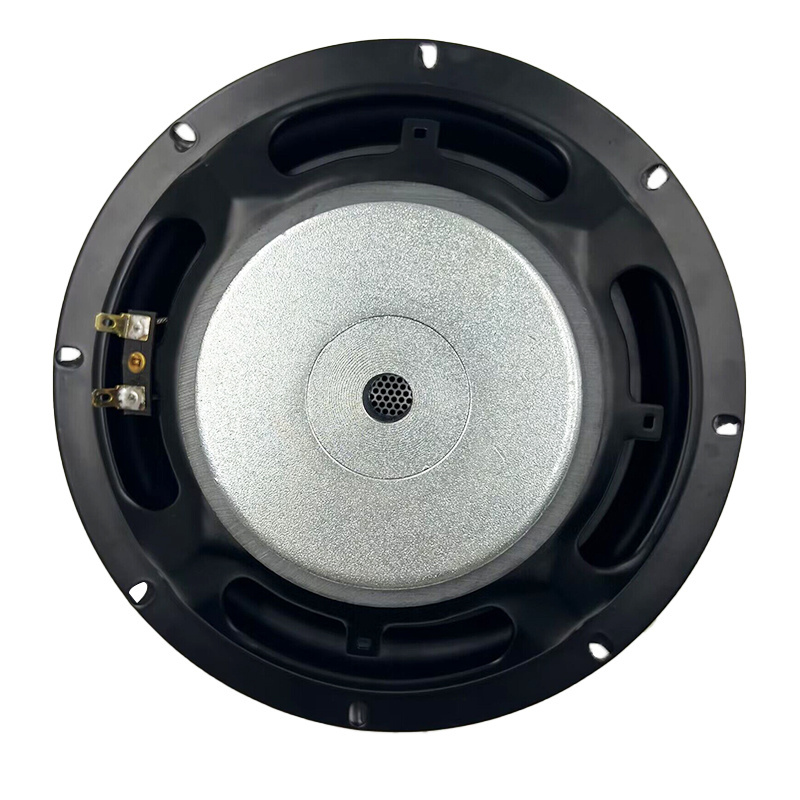 10 inch shallow mount subwoofer 10 inches RMS 100W with slim stamped iron steel basket frame