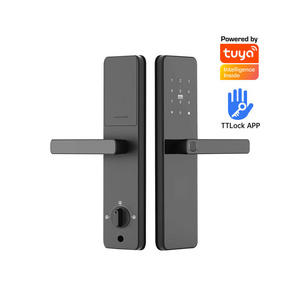 OEM Security Anti-Theft Home TTLock App Tuya Smart WiFi Door Lock,Digital Fingerprint Keyless Electronic Handle Smart Lock