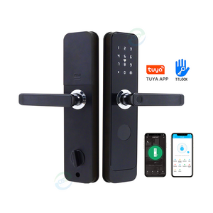 High Class TT Smart Lock WiFi USB Recharge Front Door Lock Set Keyless RFID Card Fingerprint Digital TTlock Tuya WiFi Door Locks