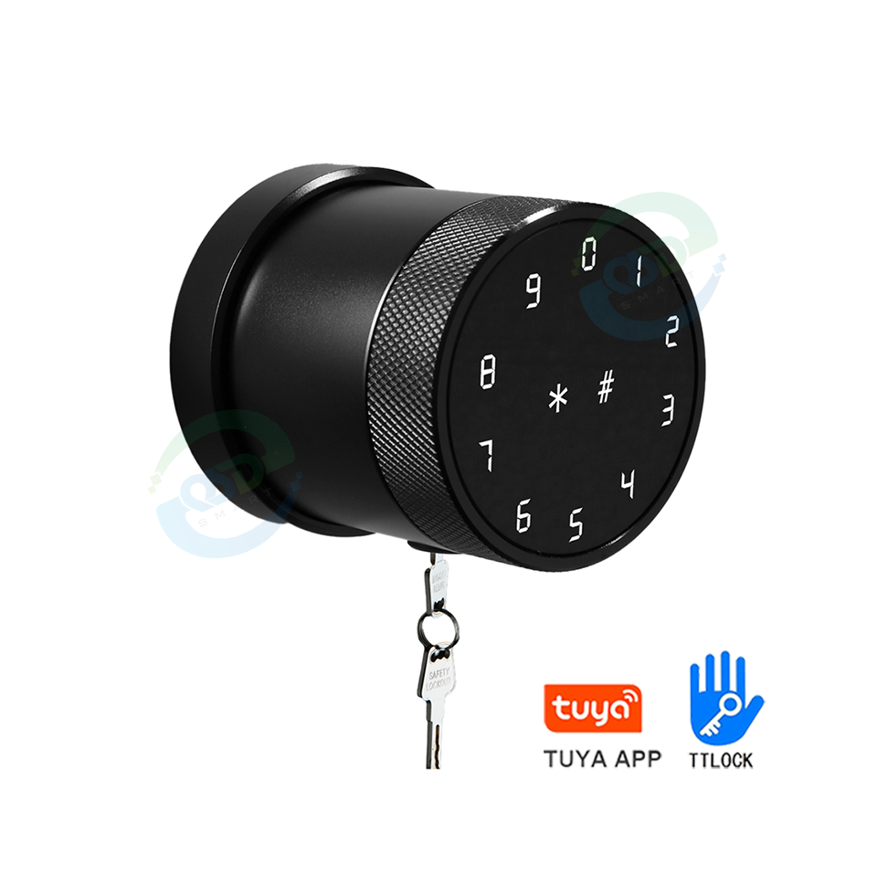 Indoor Tuya App Smart Round Knob Fingerprint Door Lock Handless TTLock biometric deadbolt Knob Digital Smart Lock with Key