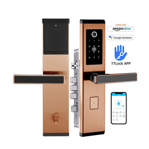 TTlock Remote Control Digital Doorlock Electric Biometrics Fingerprint Door Handle Password Nfc Smart Door Lock