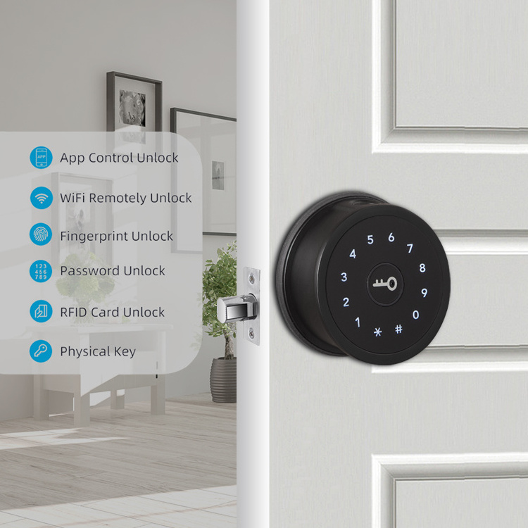 Electric Drop Bolt Deadbolt Lock with Keypad Home Keyless Entry WiFi Tuya TTlock Digital Finger print Deadbolt Smart Door Lock