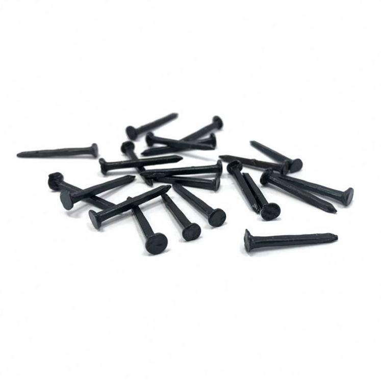 Best Seller Black Shoe Tacks Nails 3/4