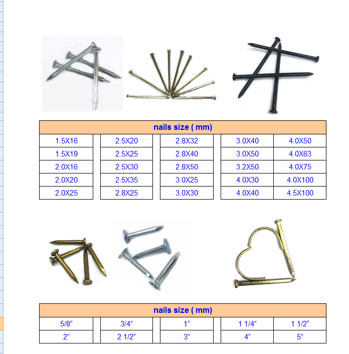 China Supplier High Quality Galvanized Staple 1-3