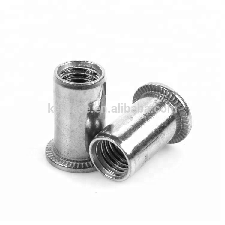 Stainless Steel Flat Head Riveted Nuts Rivet Nut