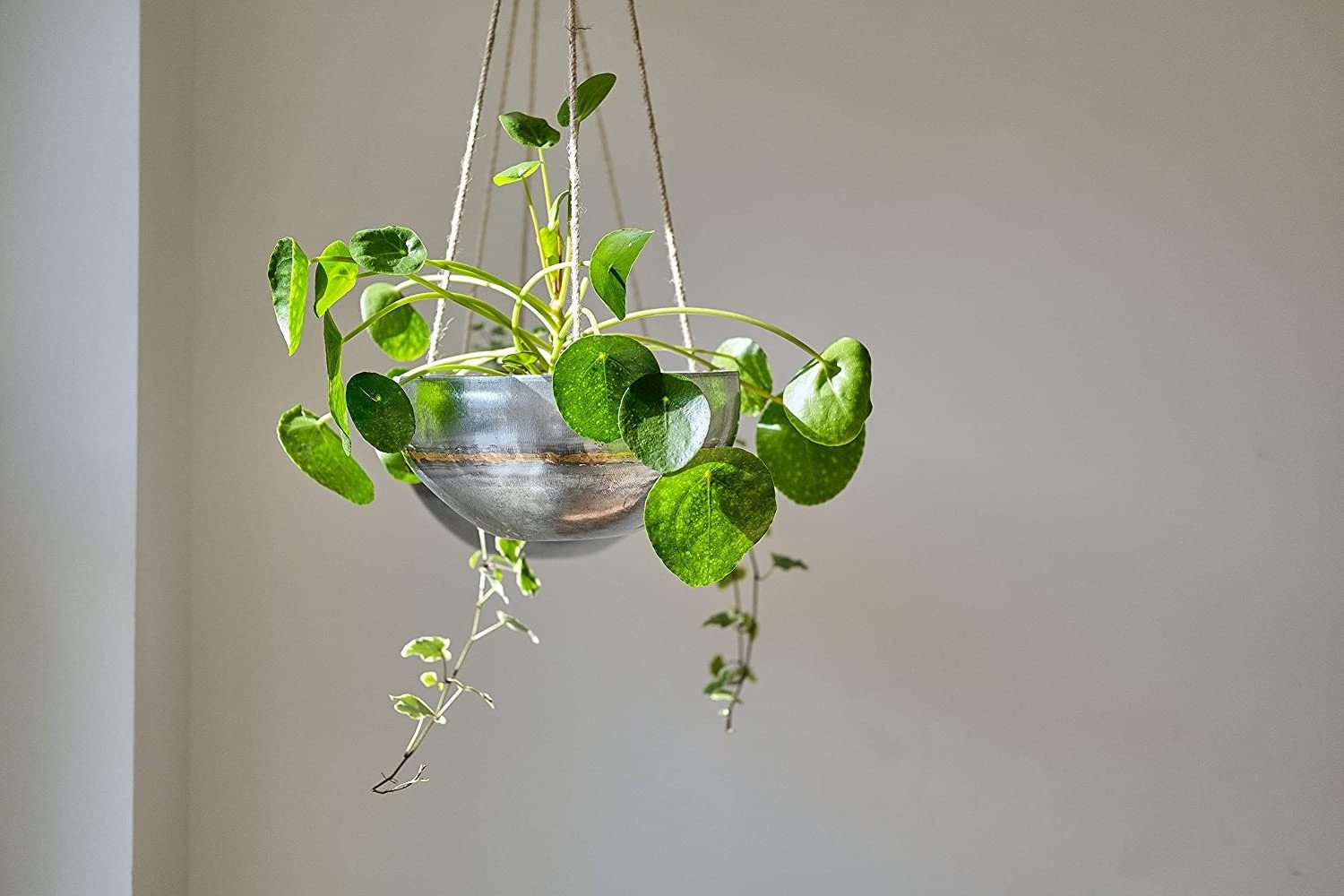 Galvanized Hanging Planter for Outdoor & Indoor Plants Galvanized Iron Pot Large Flower Hanger for Patio Window Garden Balcony