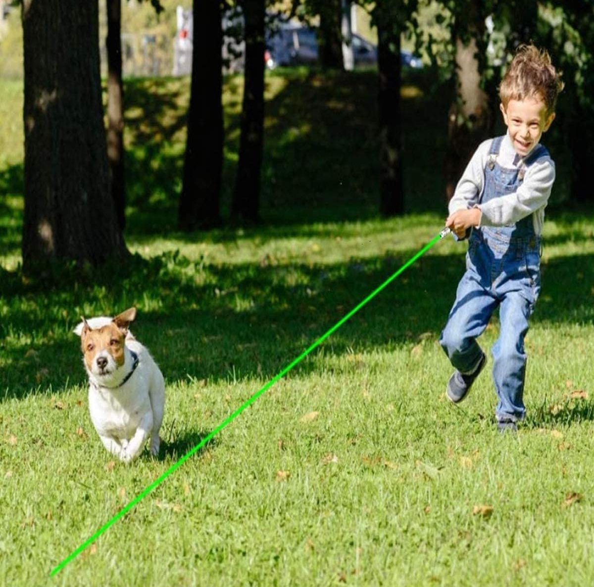 laser Pointer Pen Red Blue Green Stars Cat Toy Flashlight Long Distance Beam Powerful Green Blue Red Laser Pointers Dog Toy