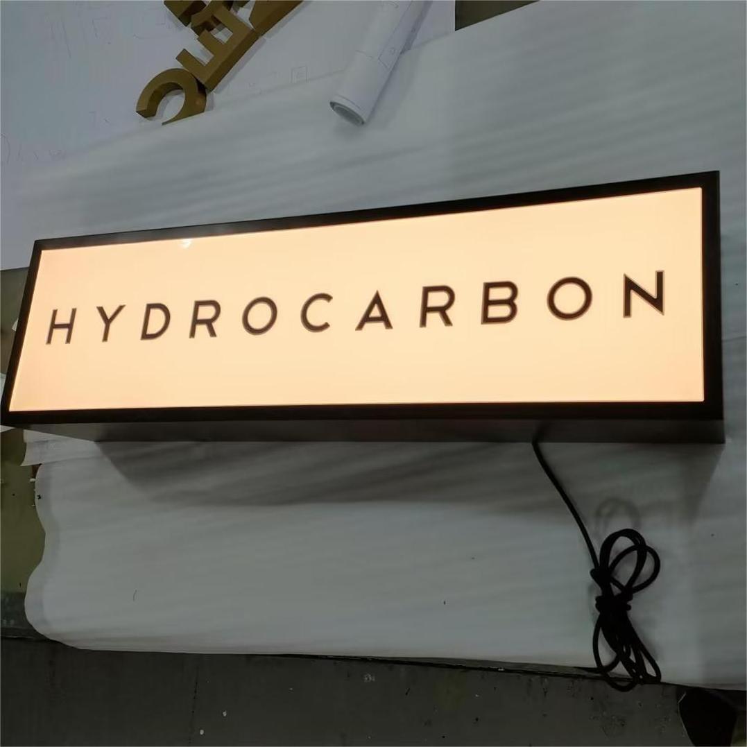 3D Double Lit Cabinet Sign Stainless Steel Fabricated Hanging Sign Advertising Display Acrylic Light Box