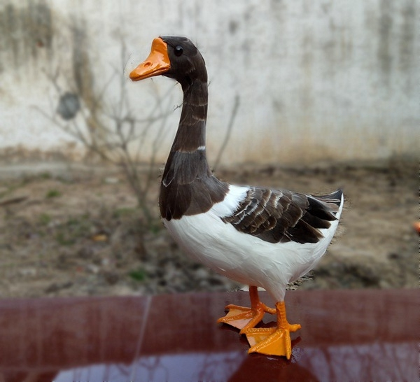 Grey Goose Static Model Simulated Stuffed Animals For Home Garden Yard Christmas Holiday Decoration Or Teaching Props