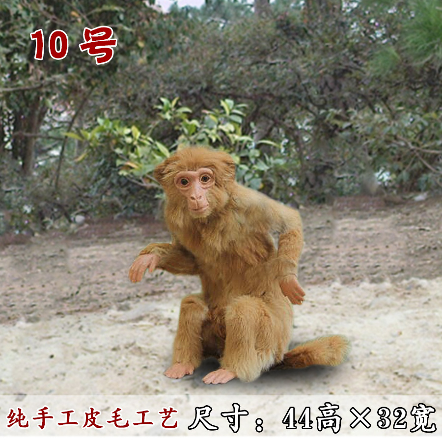 2022 New Simulation Monkey Model Specimen Display Layout Props Professional Production Animal Doll Crafts Realistic Monkey