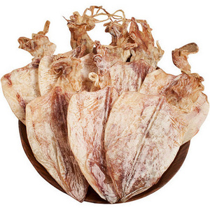 Best Selling Quality Dried Squid from Vietnam Sea Dried Squid With Cheapest Price Asia Cuttlefish