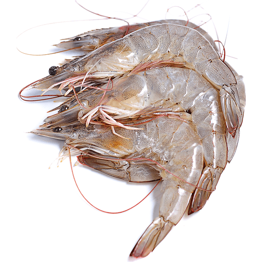 frozen vannamei shrimp wholesale and seafood - frozen prawns export to USA, EU market