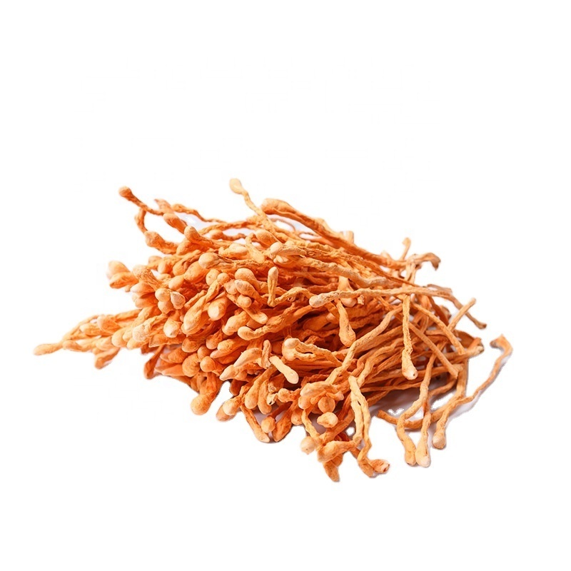 Ktang Manufacturer Supply Organic Cheap Price Precious Food Bulk Dried Cordyceps Militaris Flower Mushroom