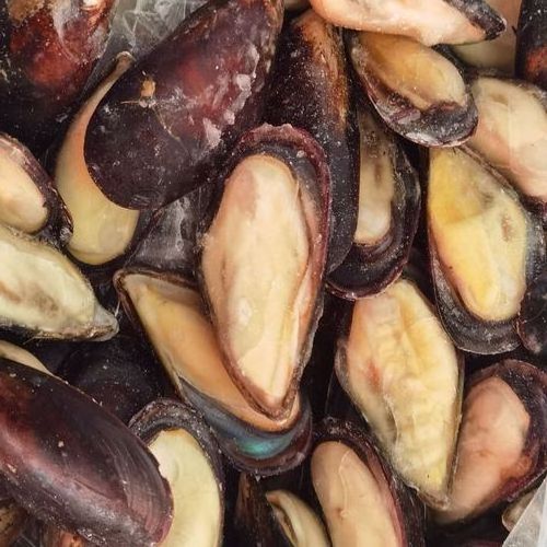 Mussels In Abalone Oyster Shellfish Import Export Frozen Scallop Seafood