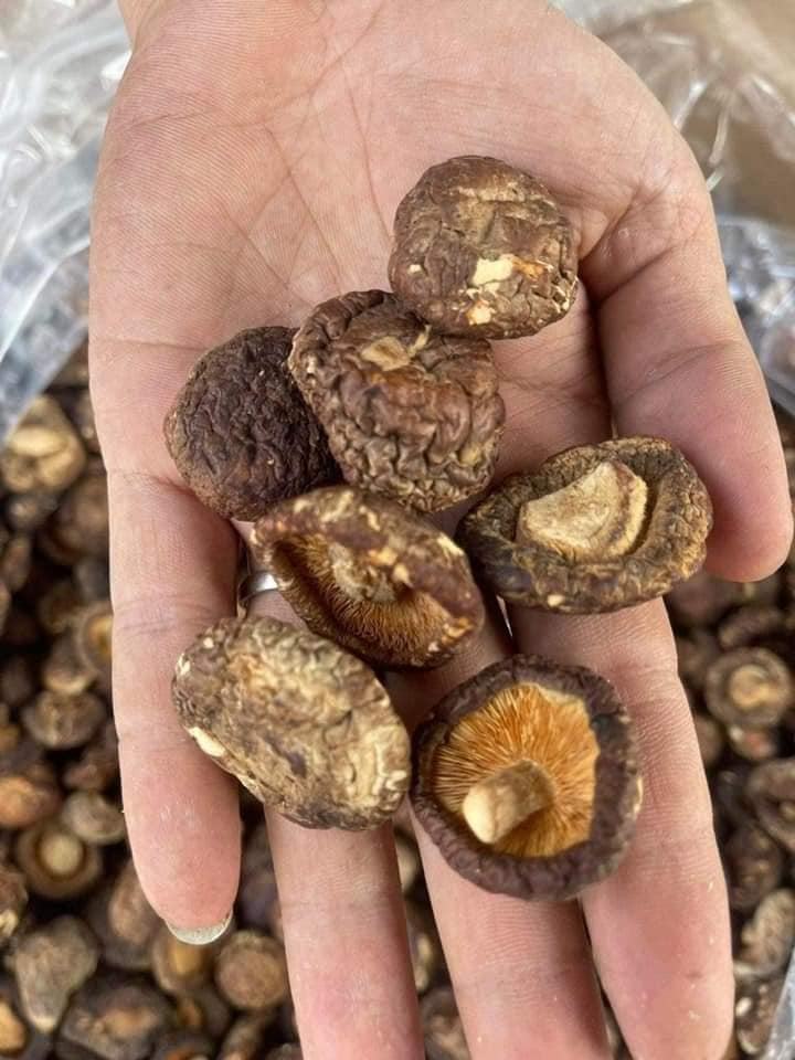 Dried Shiitake Mushrooms - Dried 100% natural shiitake mushroom cheap price in bulk / Hana