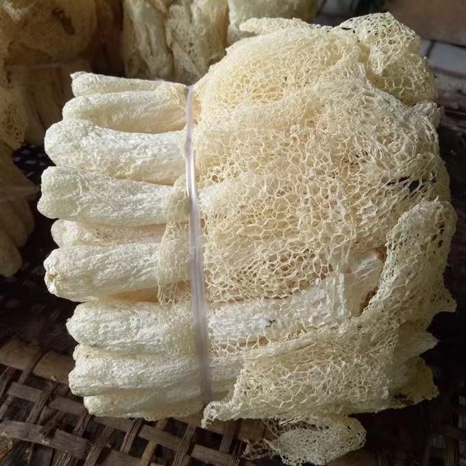 Whole dried Dictyophora mushroom / Bamboo Fungus / Zhu sun Dictyophora