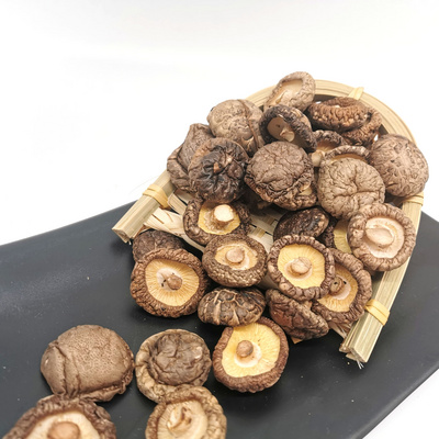 Price Dried Porcini Shiitake Mushrooms 3cm Dry Shiitake Mushrooms Wild Dried Mushroom