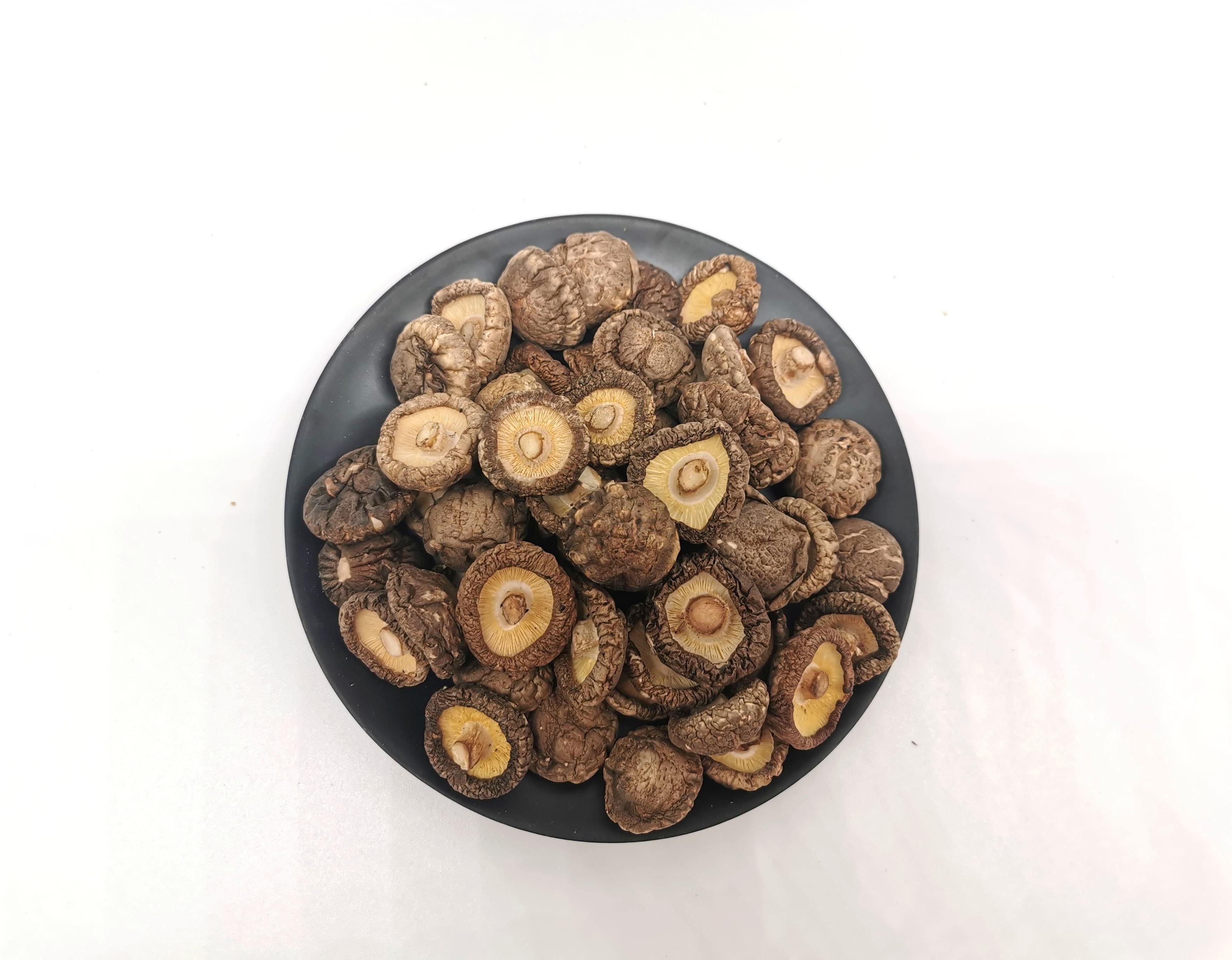 Price Dried Porcini Shiitake Mushrooms 3cm Dry Shiitake Mushrooms Wild Dried Mushroom