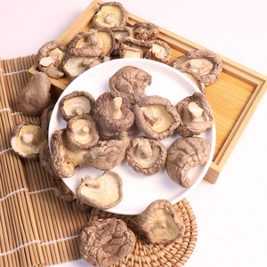 Wholesale Organic Cultivated Edible Dried Shiitake Flower Mushroom Matsutake Fungus Mushroom