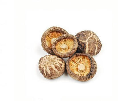 Dried Flower Mushrooms Small Flower Mushroom Organic Shiitake Mushroom