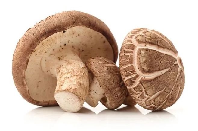 Dried Flower Mushrooms Small Flower Mushroom Organic Shiitake Mushroom