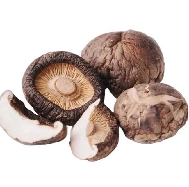 Cultivated Dried Shiitake Mushroom Oyster Champignon Porcini Morel Boletus Lions Mane Black Fungus Wild Mushroom