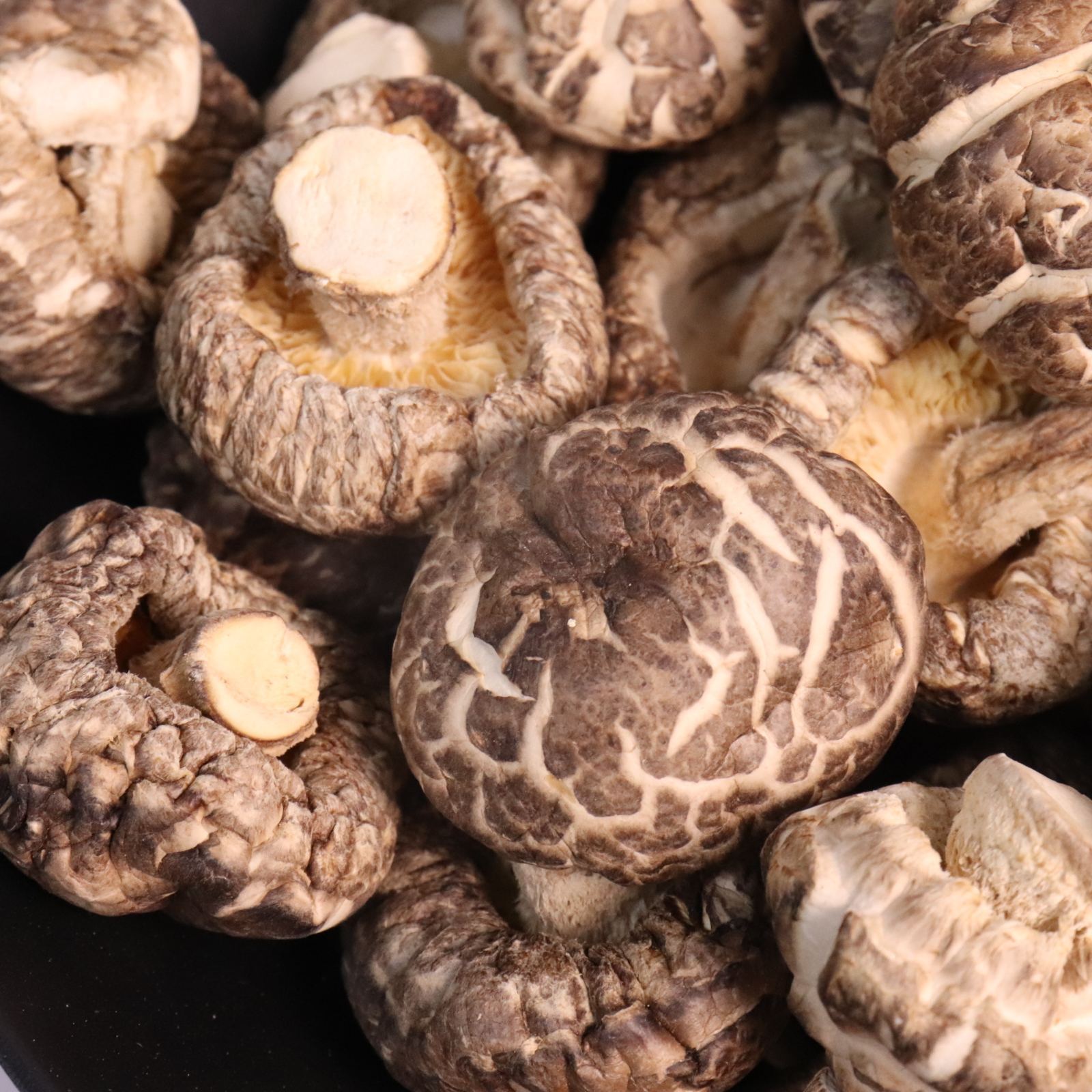 Wholesale Organic Cultivated Edible Dried Shiitake Flower Mushroom Matsutake Fungus Mushroom