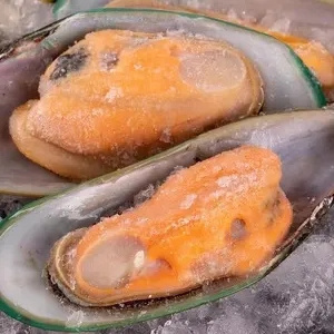 Mussels In Abalone Oyster Shellfish Import Export Frozen Scallop Seafood