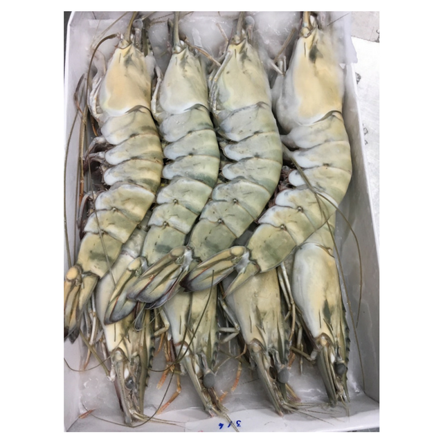 frozen vannamei shrimp wholesale and seafood - frozen prawns export to USA, EU market