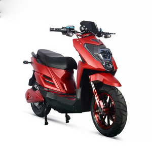 Factory Price Adult Electric Motorcycle 1000W 2000W 1500W Electric Bicycle Motorcycles Lithium Battery Electric Moped