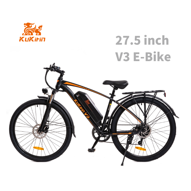 Hot Selling Ebike 36v 10.5ah Fat Tyre Step Through Ebike Cheap 24inch Electric Bike for Adults High Quality for Sale