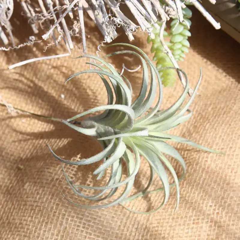 popular new faux plants  air plant stems for floral arrangement artificial succulents unpotted  decoration plant