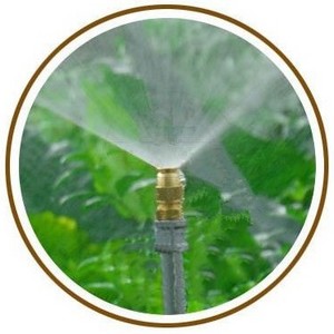 Brass Adjustable Sprinkler Garden Water Spray Nozzle