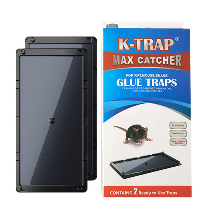 K-Trap Professional Strength Baited Plastic Tray Rat Mouse Glue Trap