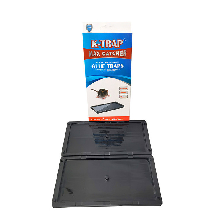 K-Trap Professional Strength Baited Plastic Tray Rat Mouse Glue Trap