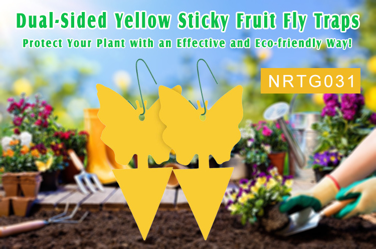 Yellow PP Board Shapes Sticky Gnat Garden Insect Glue Traps