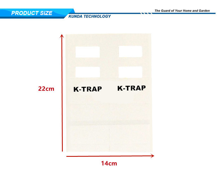 Pesticide Free  Pest Control  Sticky  Bed Bugs Spiders Cockroach  Glue Trap Insect Monitor