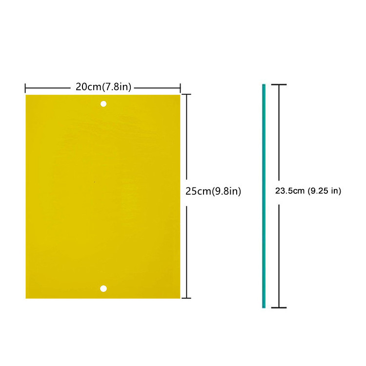 Dual-Sided Yellow Sticky Gnat Traps for Flying Plant Insect Like Fungus Gnats, Whiteflies, Aphids, Leaf Miners