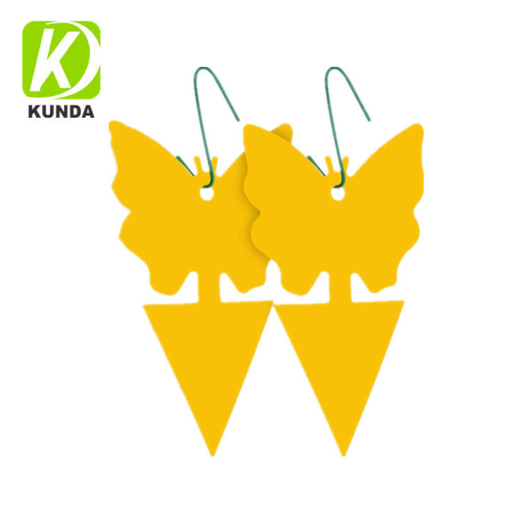 Yellow PP Board Shapes Sticky Gnat Garden Insect Glue Traps