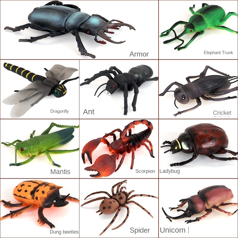 Spot goods oversized entomozoa Flying insectPVC grasshopper Scorpion Spider cricket Beetle toy Artificial insect Children's gift