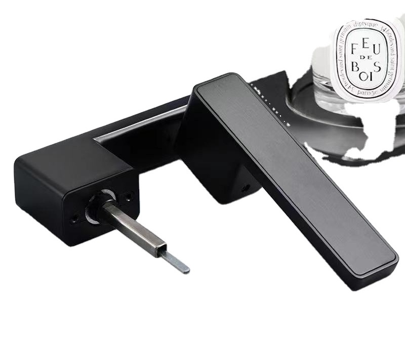 Fancy Ecological door lock Matt Black lever face Interior Magnetic door Lever Lock