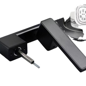 Fancy Ecological door lock Matt Black lever face Interior Magnetic door Lever Lock