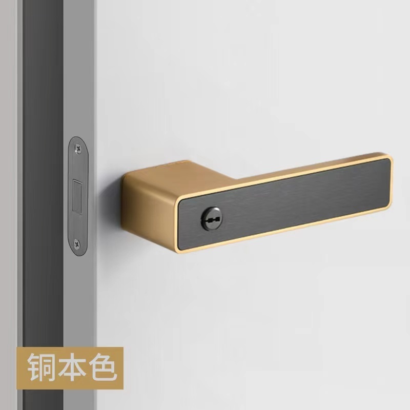 Fancy Ecological door lock Matt Black lever face Interior Magnetic door Lever Lock