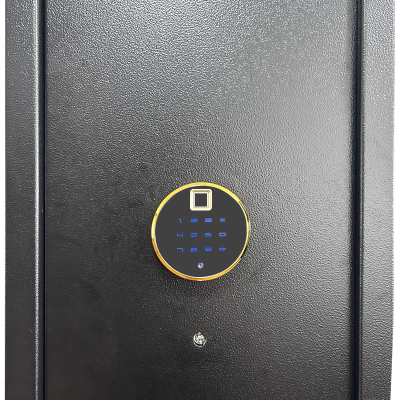 OEM WIFI remote unlock electronic code lock fingerprint unlock high security Metal Gun Safe Box cabinet with Dual alarm system